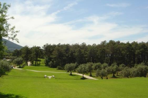 Lauro Golf ha acogido la celebración de la primera jornada del Campeonato Internacional de Andalucía de Segunda, Tercera y Cuarta Categorías