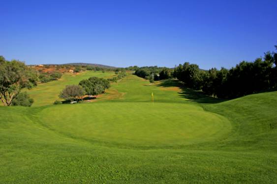 El Club de Golf La Cañada acoge este fin de semana la octava edición del Trofeo Barbésula