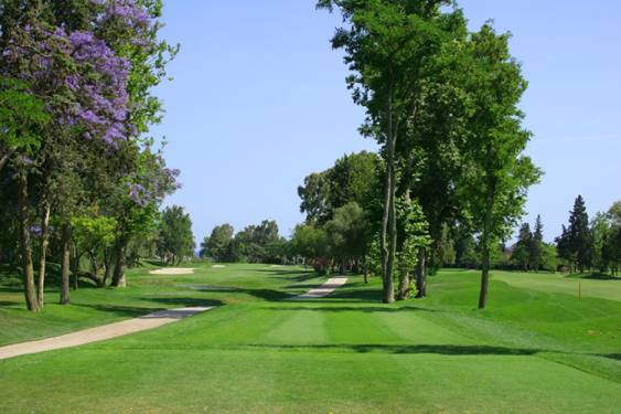 Plazos de inscripción a torneos  de la Real Federación Andaluza de Golf