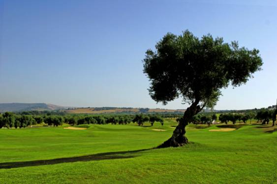 El Circuito Senior de Andalucía 2014 celebra su última prueba clasificatoria en Arcos Golf