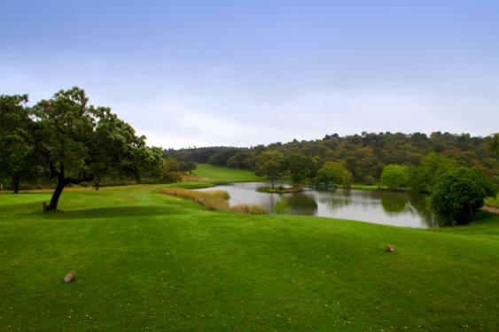 Plazos de inscripción a torneos de la Real Federación Andaluza de Golf