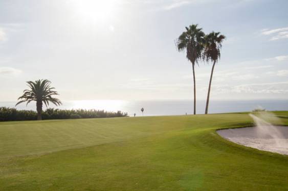 El Comité Comercial de Campos de la Real Federación Andaluza de Golf participará en la IGTM 2015 en Tenerife