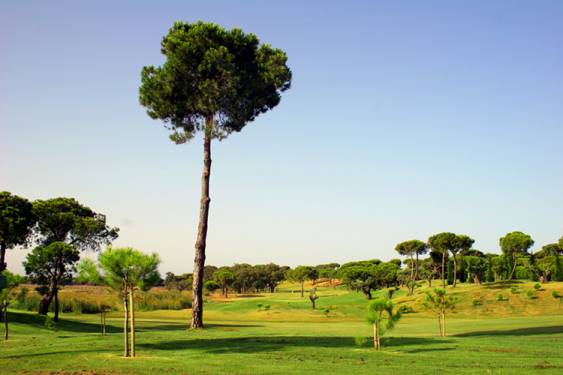 Plazos de inscripción a torneos de la Real Federación Andaluza de Golf